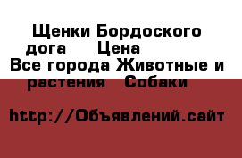 Щенки Бордоского дога.  › Цена ­ 30 000 - Все города Животные и растения » Собаки   